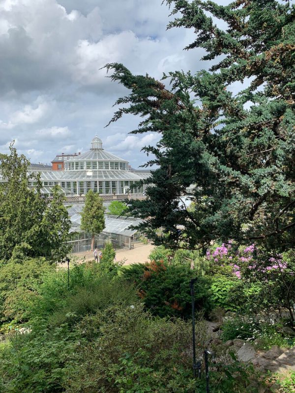 View of the glasshouses in the Botanical Gardens