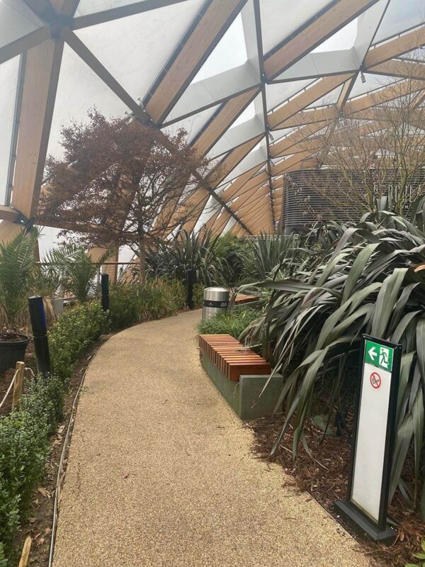 image of an indoor garden with plants either side of a path