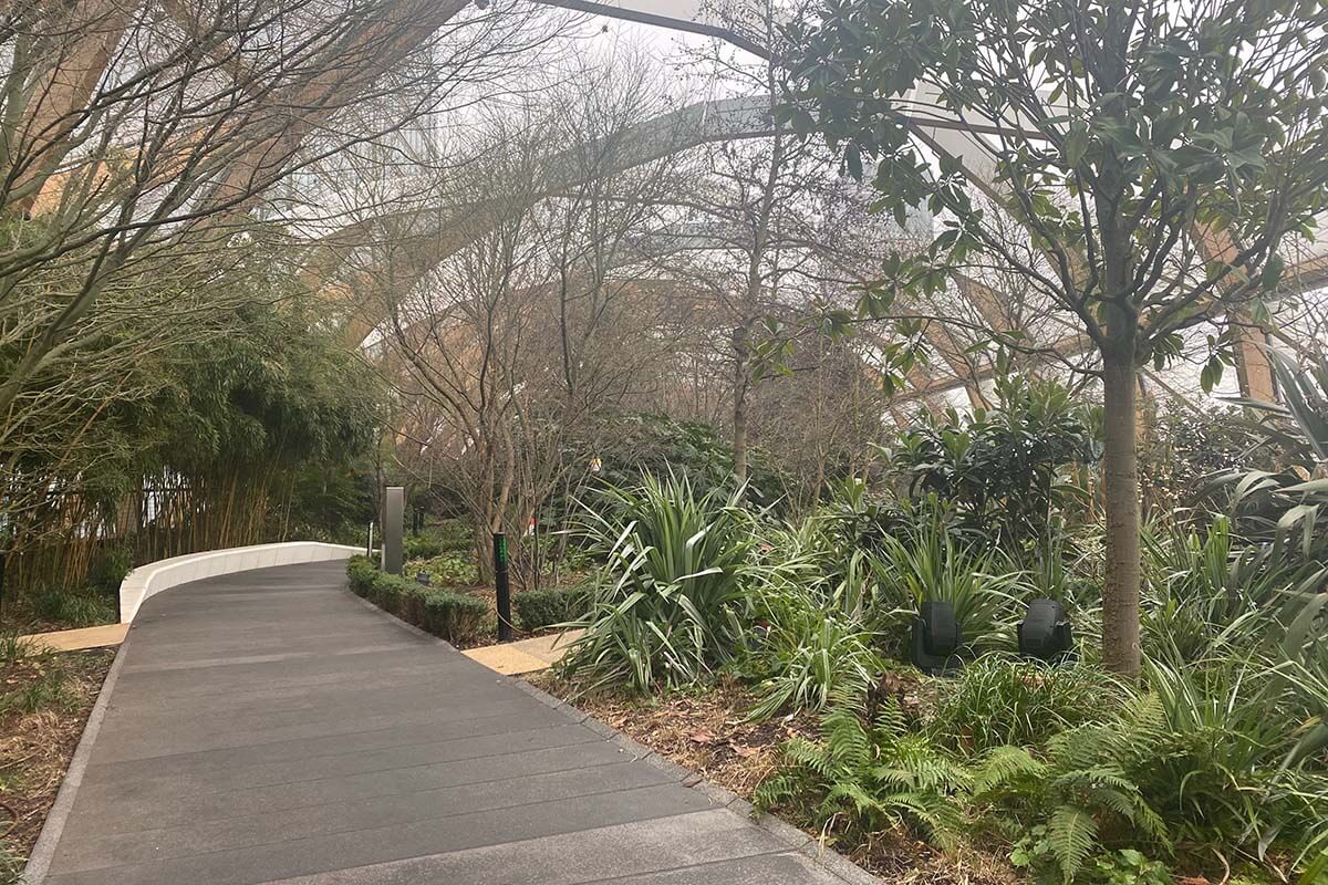 image of an indoor garden with plants and trees either side a concrete path the beams of the room visible above