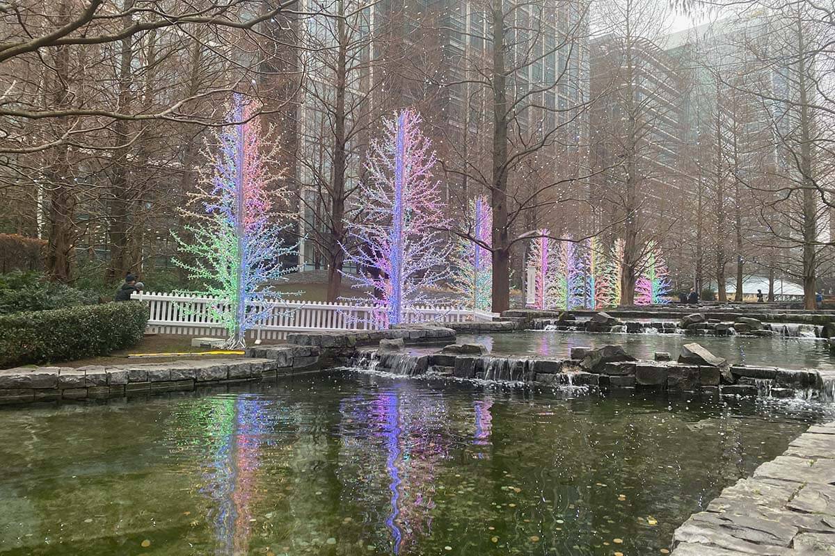 image of a light installation the shape of Christmas Trees next to a water feature in a park. The trees are lit up in green, pink and purple lights.
