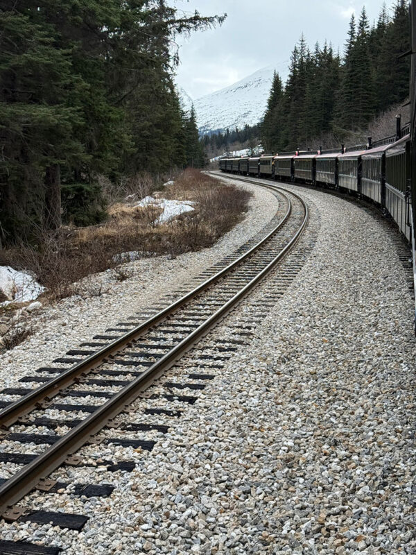 The White Pass Railway train curves around railway tracks through a dense evergreen forest with patches of snow on the ground. Snow covered mountains rise in the distance during a scenic railway excursion in Alaska.